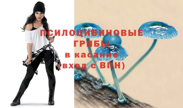 спайс Дмитров