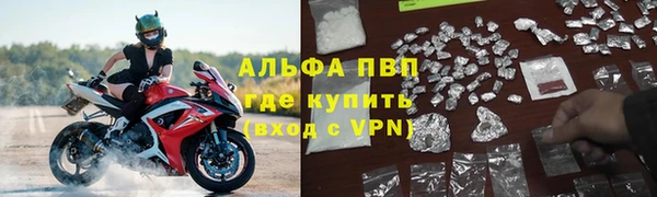 стафф Дмитровск