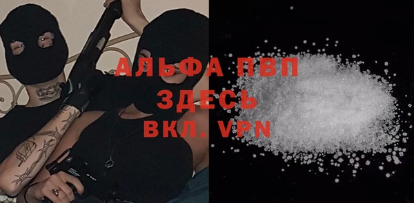 стафф Дмитриев