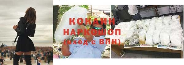 стафф Дмитриев