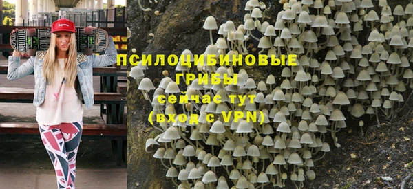 стафф Дмитровск