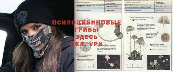 стафф Дмитровск